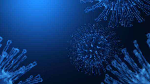 coronavirus us - coronavirus france has